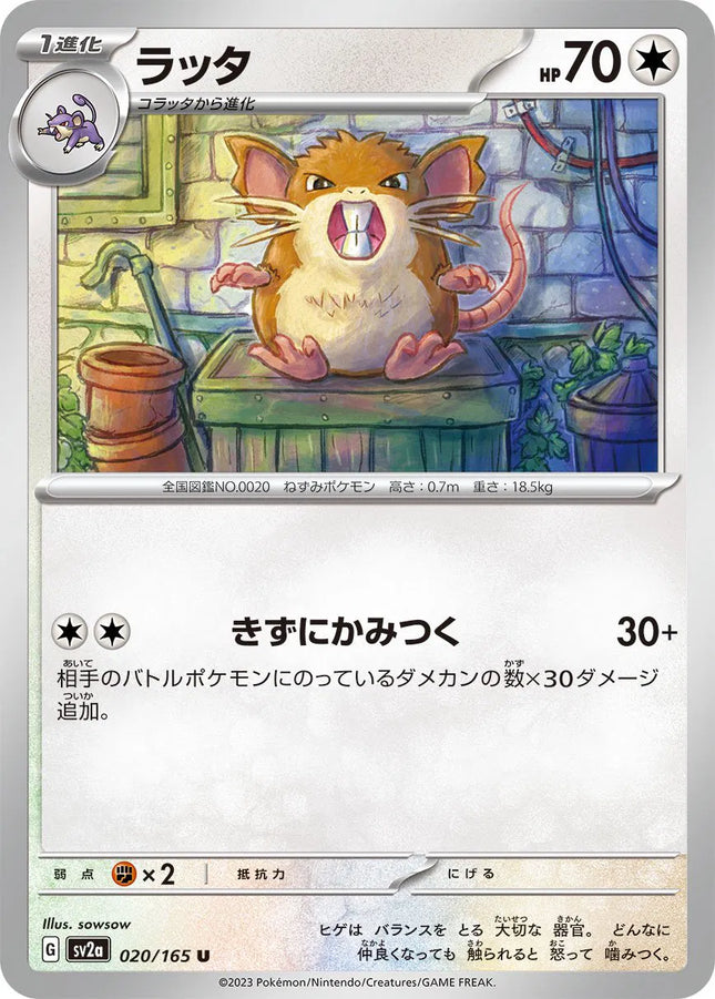 Raticate (JP) Pokemon 151 Uncommon 020/165 Pokeball Pattern
