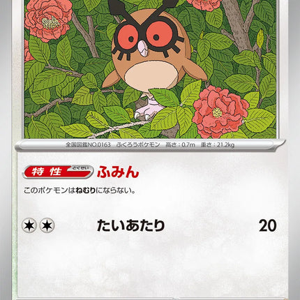 Hoothoot (JP) Terastal Festival ex Common 127/187
