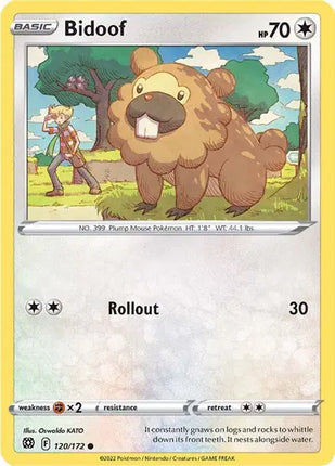 Bidoof Common • 120/172 Brilliant Stars