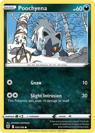 Poochyena Common • 095/189 Astral Radiance