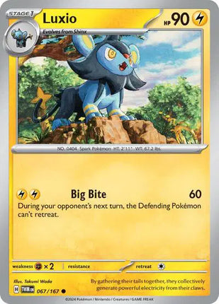 Luxio Pokemon • Common • 067/167 Twilight Masquerade
