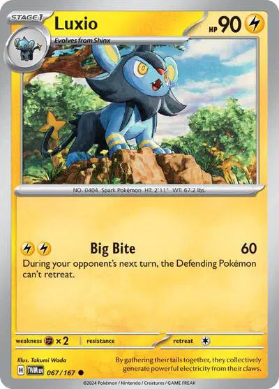 Luxio Pokemon • Common • 067/167 Twilight Masquerade