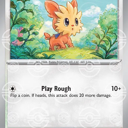 Lillipup (Poke Ball Pattern) Common • 074/086 White Flare