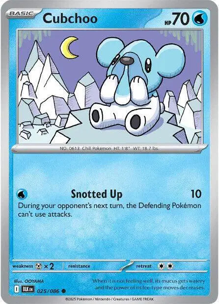 Cubchoo Common • 025/086 Black Bolt Reverse Holofoil
