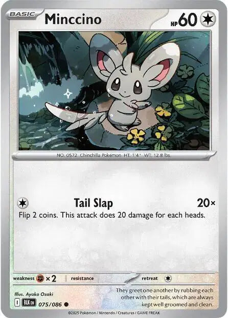 Minccino Common • 075/086 Black Bolt