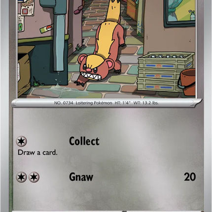 Yungoos Common • 109/132 Mega Evolution Reverse Holofoil