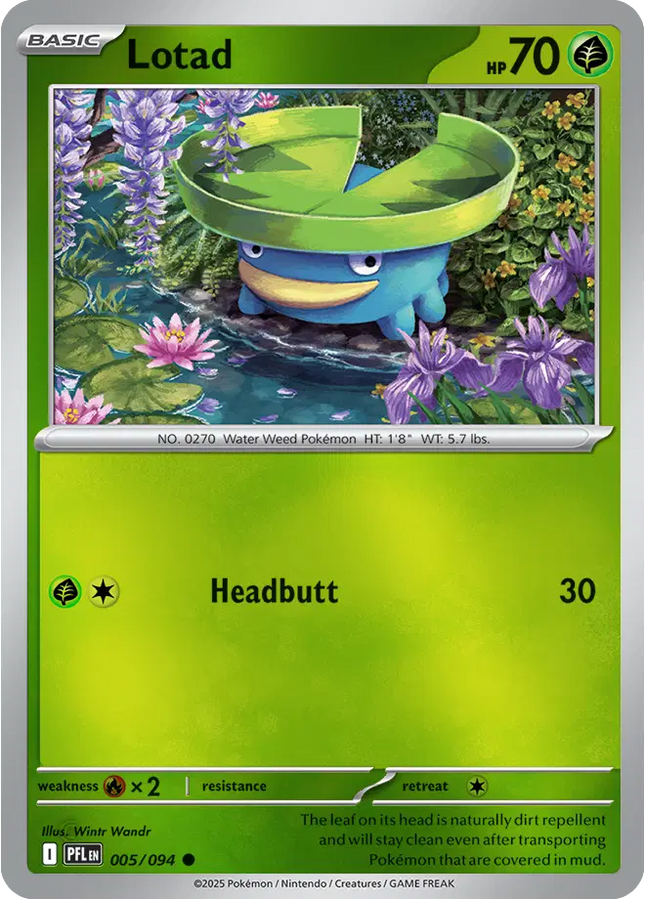 Lotad Common 005094 Phantasmal Flames Reverse Holofoil