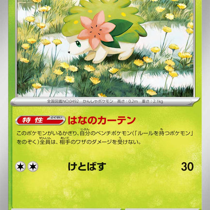 Shaymin MEGA Dream ex 012/193