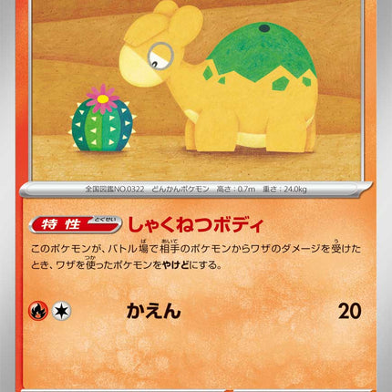 Numel MEGA Dream ex 022/193