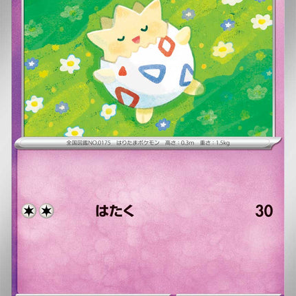 Togepi MEGA Dream ex 064/193