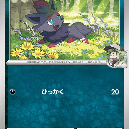 N's Zorua MEGA Dream ex 111/193