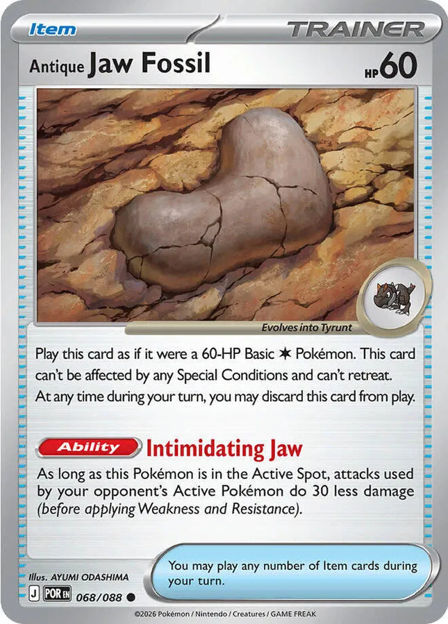 Antique Jaw Fossil Perfect Order Common 068/088