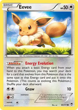 Eevee Common • 80 Furious Fists