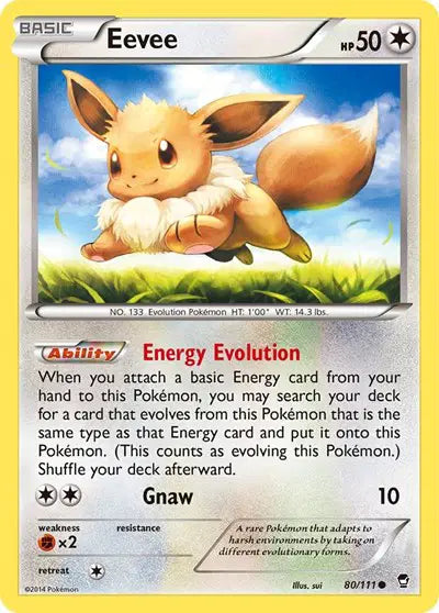 Eevee Common • 80 Furious Fists