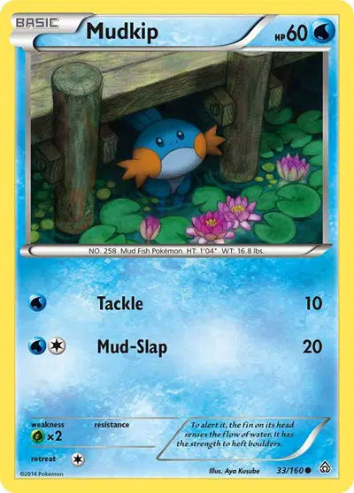 Mudkip Common • 33 Primal Clash